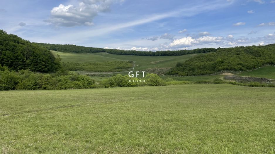 Teren extravilan 10000 mp, Jelna. - Poză 4