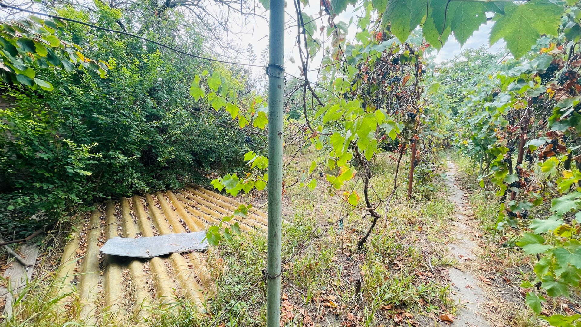 Casa spatioasa cu teren 739 mp in zona Mehala - Poză 12