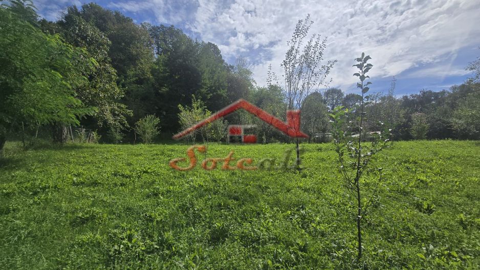 Oportunitate de investiție în Breaza – teren intravilan de 3.591 mp - Poză 8