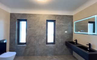 Proiect modern Dumbravita - Poză 19