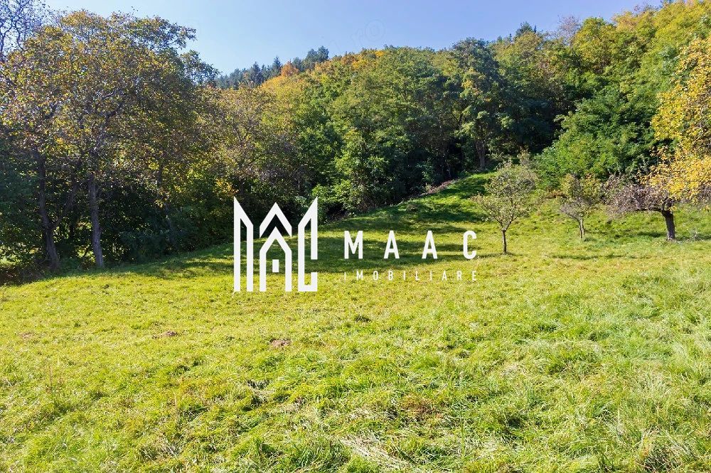 Teren | Intravilan | 2439 MPU | Fântânele - Poză 5