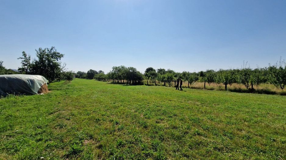 Vanzare teren intravilan, Smeura de Sus - Poză 6