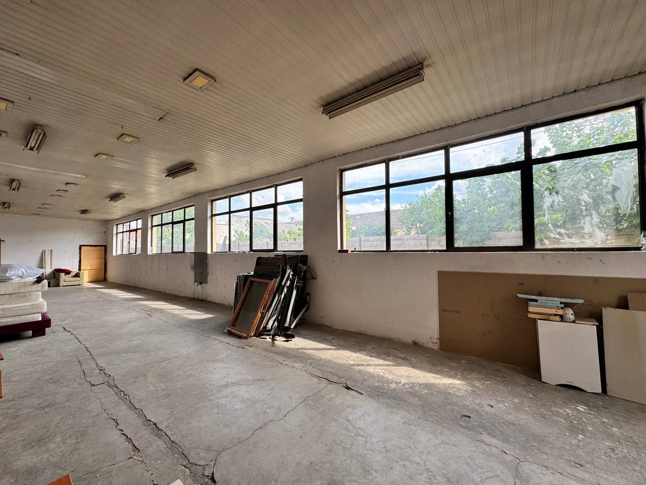 Hală de producție sau depozitare în Aradul Nou. - Poză 5