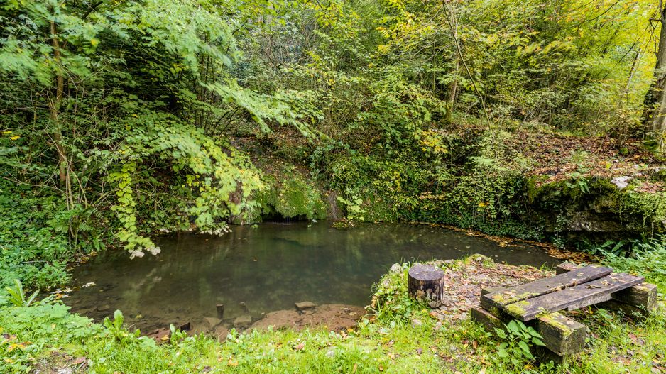 Domeniu în satul Căprioara - Poză 26