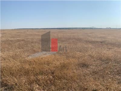 Vanzare  Teren  Pipera  2500mp - Poză 5