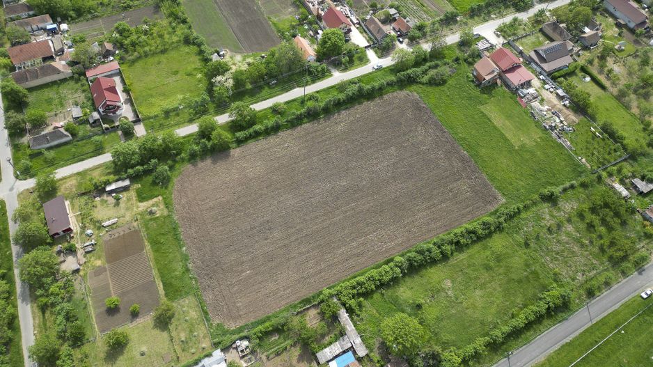 Teren Intravilan de 3,090 mp în Cuvin - Poză 5