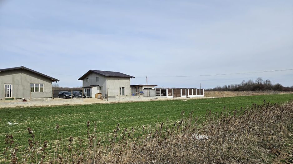 Teren intravilan 882 mp, Smeura - Hintesti - Poză 6