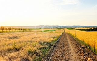 Teren intravilan de vanzare in Alparea, Bihor - Poză 2