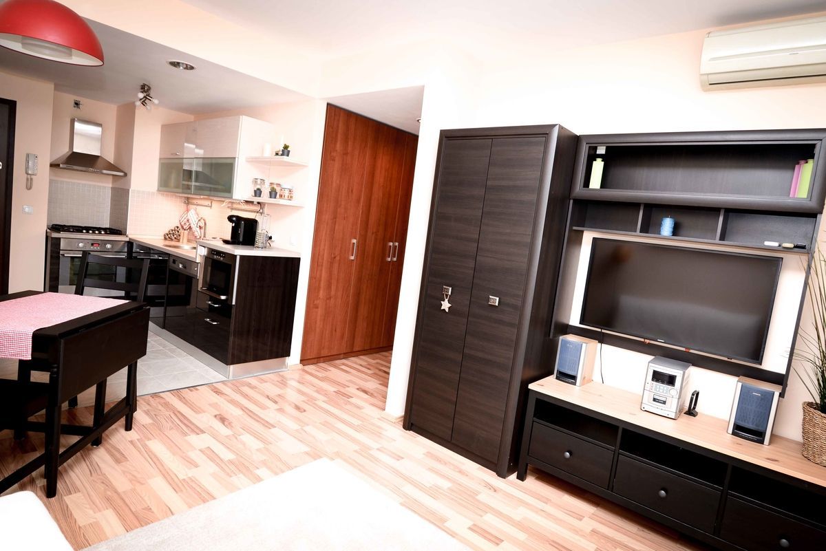 AP.2 CAMERE- ROSE GARDEN, PET-FRIENDLY, PARCARE, MASINA DE SPALAT VASE - Poză 3