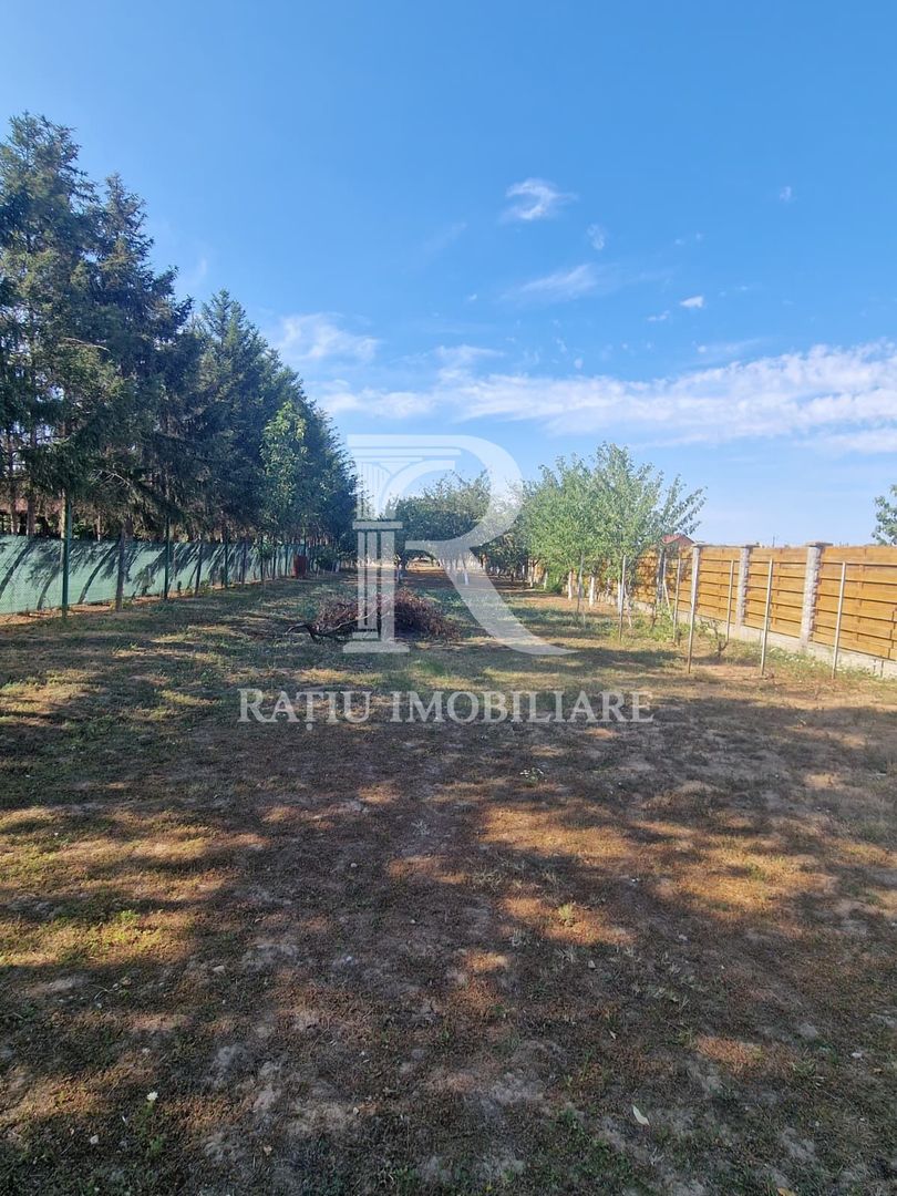 Teren | Santandrei | Drum Privat | Imprejmuit | 2052 mp | Bihor - Poză 4