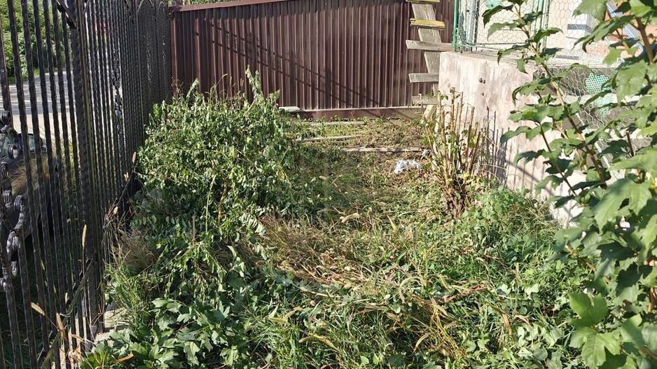 Casa si teren de vanzare Comanesti - Poză 3