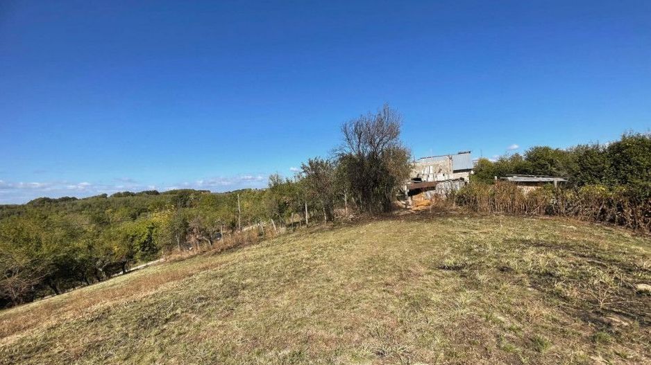 Teren Babana 5000mp intravilan - Poză 6