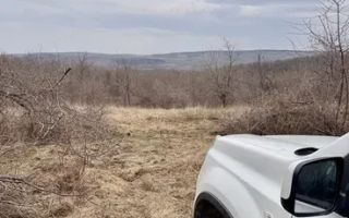 Teren arabil extravilan în Aroneanu, zona Nucarie – 9.012 mp - Poză 2