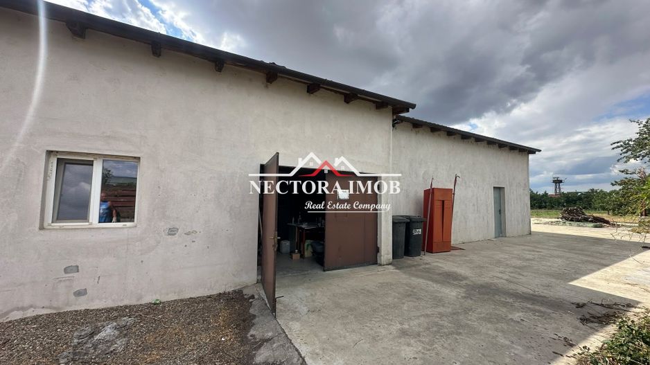 NECTORA IMOB-Spatiu comercial Showroom Santion-Bors, 160 mp + 2630 mp - Poză 4