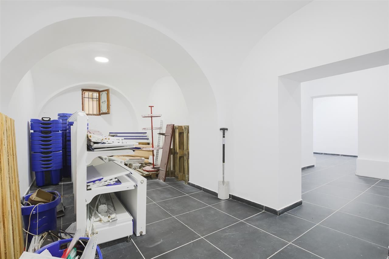 Sub mantia arhitecturala istorica a Cetatii Timisoarei, Spatiu comercial - Poză 33