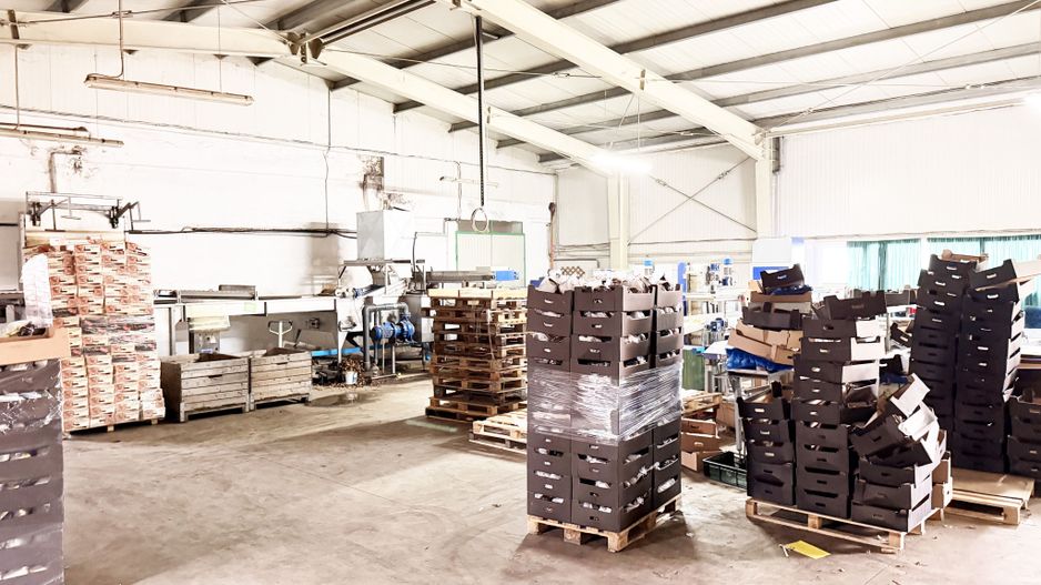 Hala industrială de vanzare Arad 540 mp, depozitare la rece, acces TIR - Poză 6