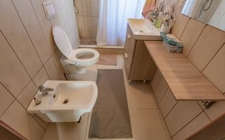 Casă / Vilă cu 6 camere de vânzare în zona Sagului - Poză 5