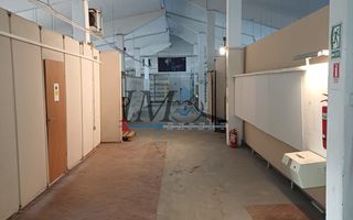 Hala de inchiriat Sebes - Poză 6