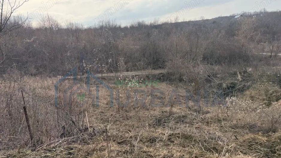 Teren cu priveliste superba, Vladiceni Iasi - Poză 4