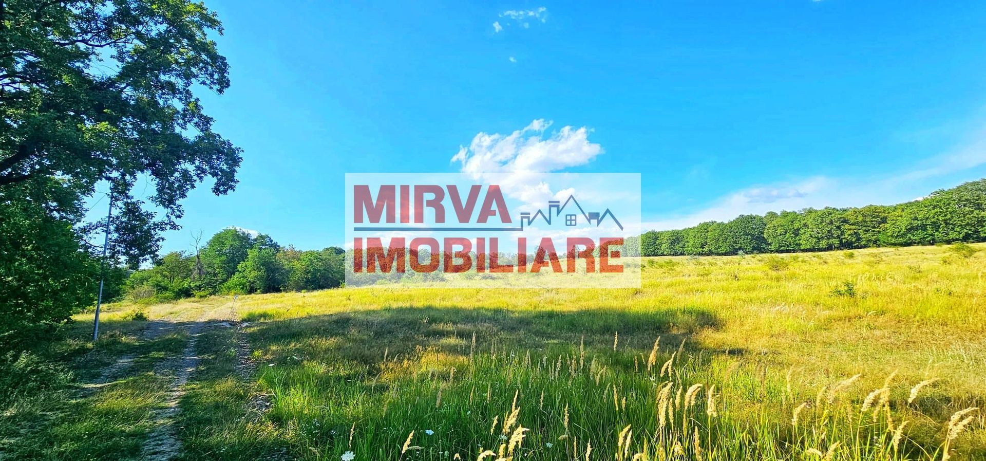 Teren intravilan construibil 3.500 mp Păcureți | UTR 6, P+2, POT 30% - Poză 3