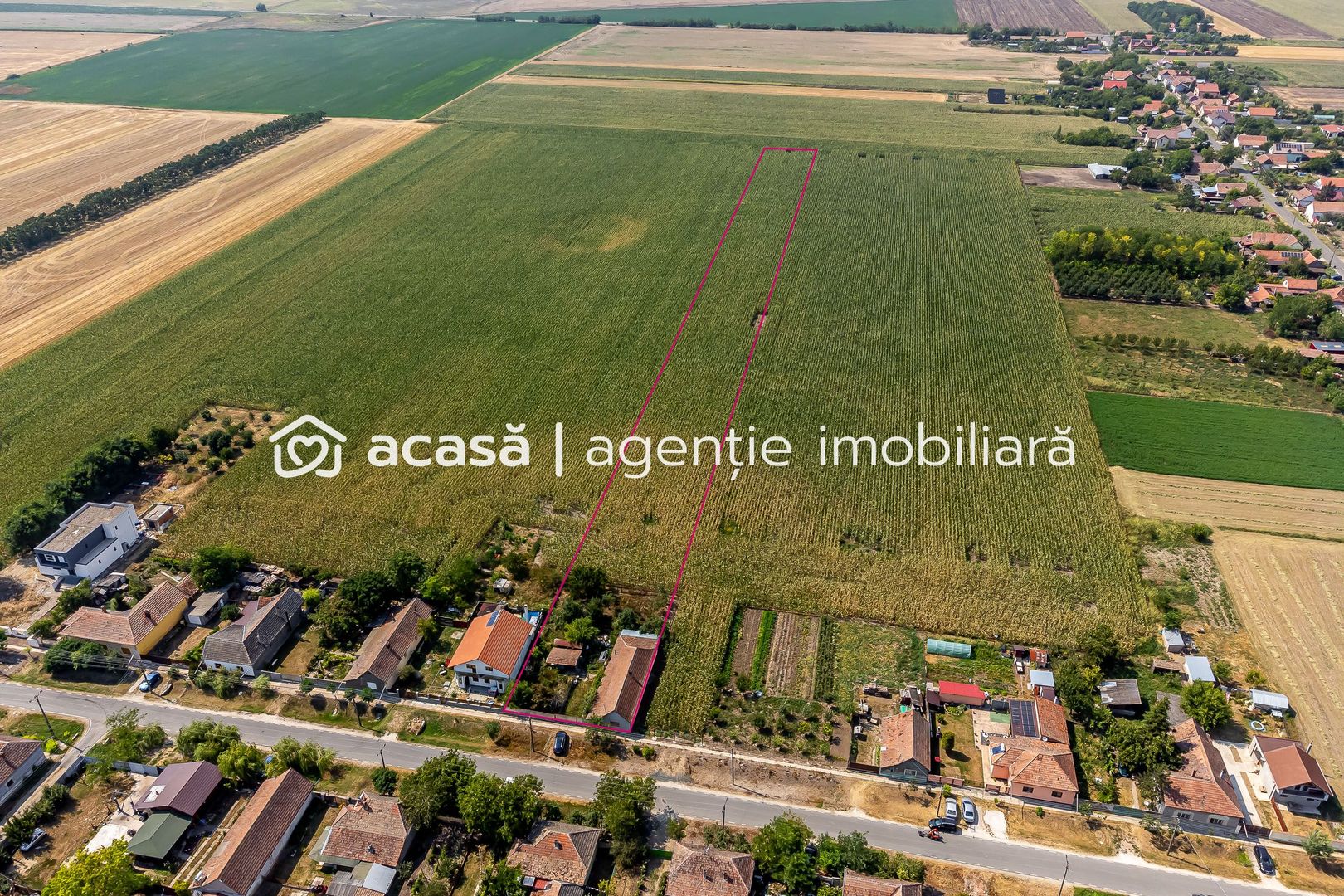 Casă Variasu Mare Jud. Arad cu teren 16883 mp - Poză 8