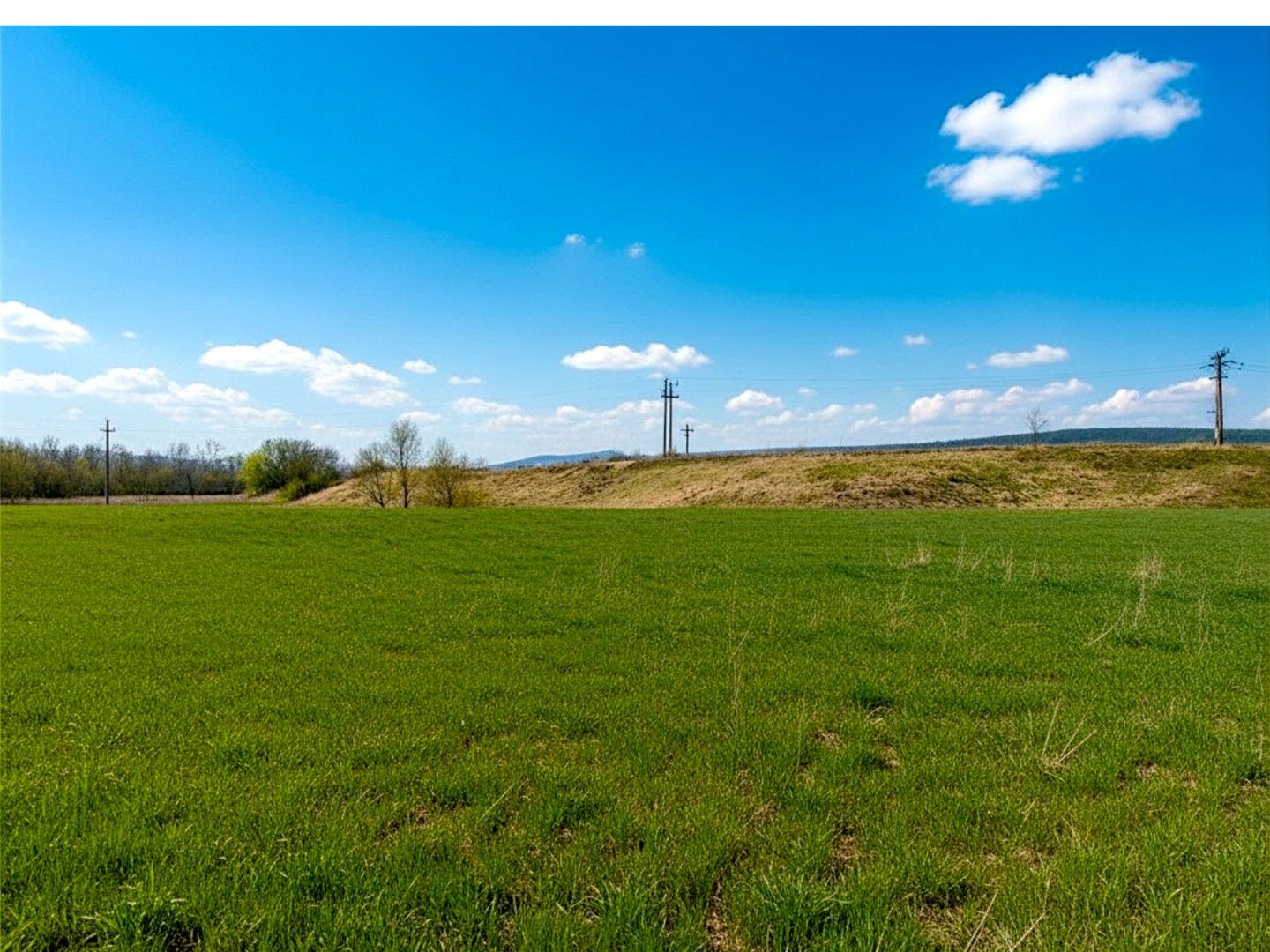 Teren 12.400 MP | 180 ml deschidere E85 | Pătrăuți | 70.000€ - Poză 2