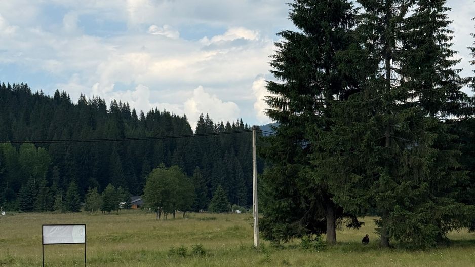 PARCELE DE VÂNZARE, pe malul râului BÂSCA, COMANDAU, COVASNA - Poză 10