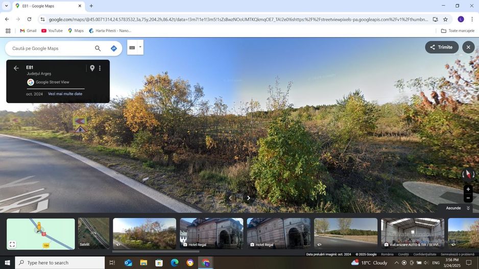 Vanzare teren 10000 mp, stradal DN 7, Moraresti - Poză 4