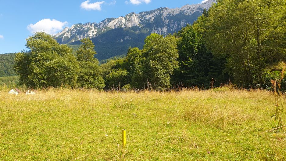 Superb!Zarnesti, Piatra Craiului, teren intravilan 1000mp, acces direct  la rau - Poză 8