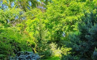 Vila P+1 Liceul Francez/Academia de Politie - Poză 16