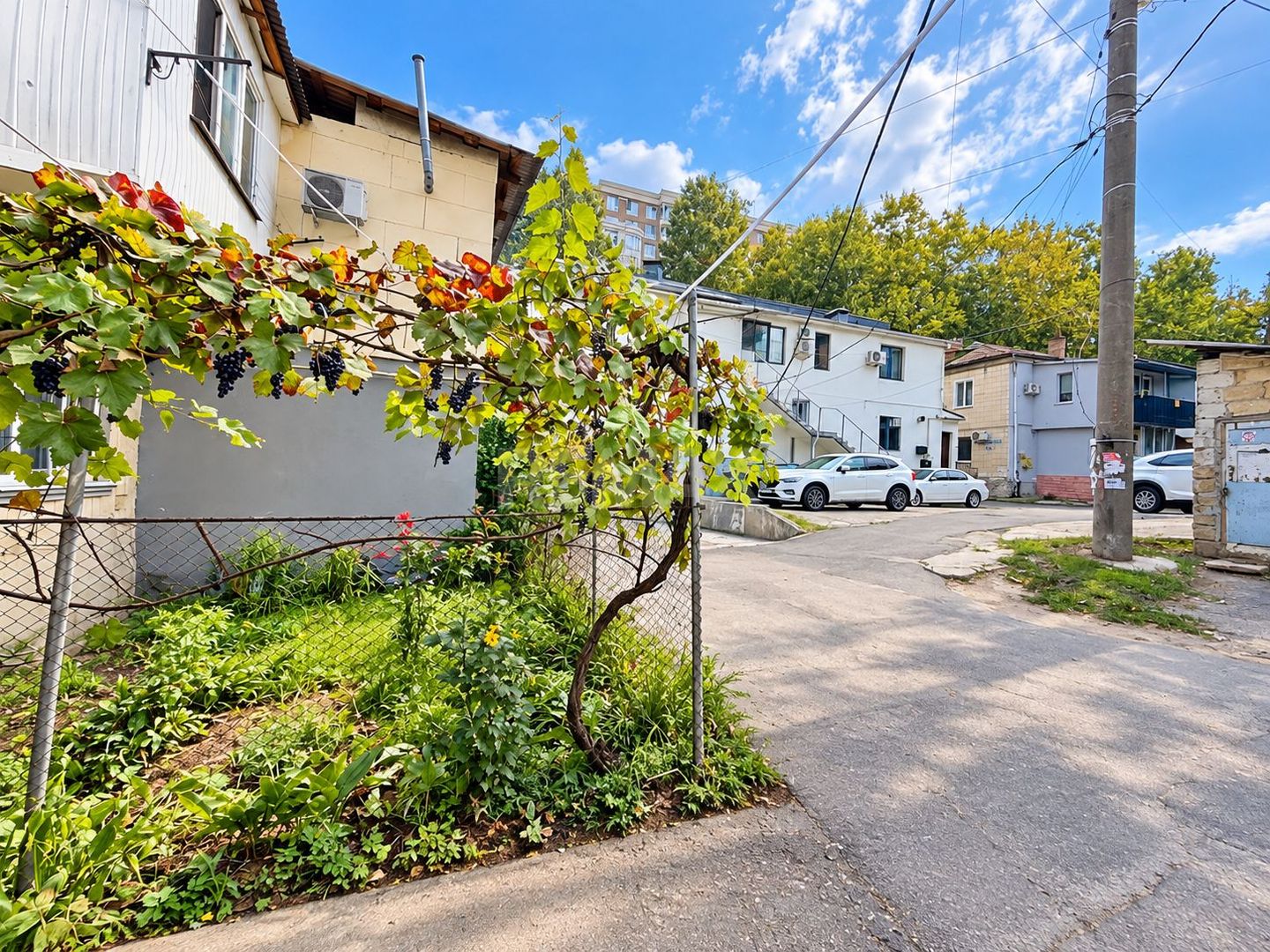 Apartament cu 1 cameră, Buiucani, Mun. Chișinău - Poză 7