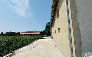 Hala 373 mp + teren in Santaul Mic - Poză 6