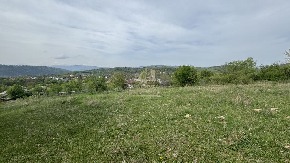 TEREN INTRAVILAN, 7472 MP, VALEA MARE PRAVAT, ARGES - Poză 8