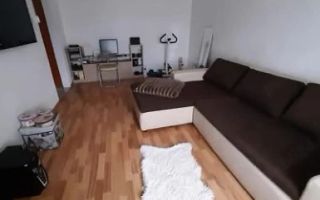 1 camera zona Lipovei - Poză 2