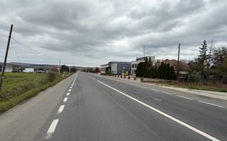 Oportunitate investiție! Teren intravilan, 9300 mp, front la DN, Iclod - Poză 3