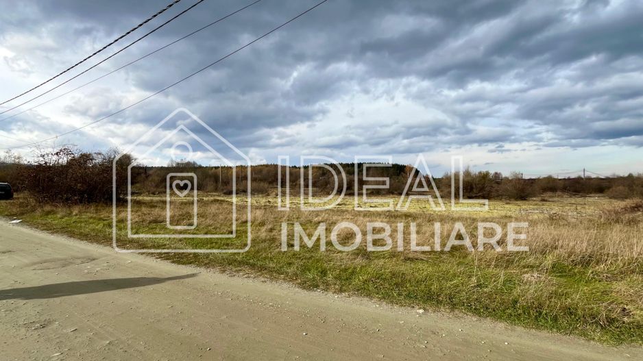 Teren extravilan 868 mp, Cârțișoara - Poză 2