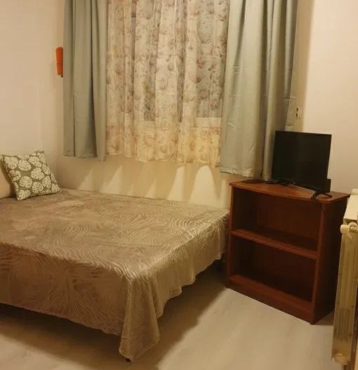 STUDIO RENOVAT ZONA FLOREASCA - Poză 2