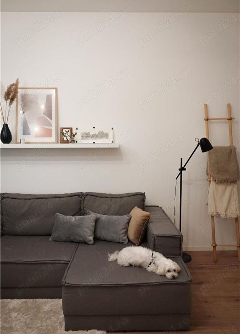 Apart deosebit pe malul Begai - Poză 11