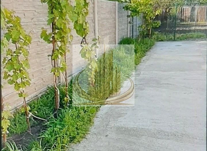 Casă individuală 3 camere | 105 mp utili | Teren 700 mp | Ronaț - Poză 3