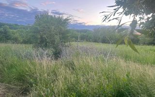 Teren intravilan de vânzare sau închiriere – Mogoșești Șanta, Iași - Poză 7