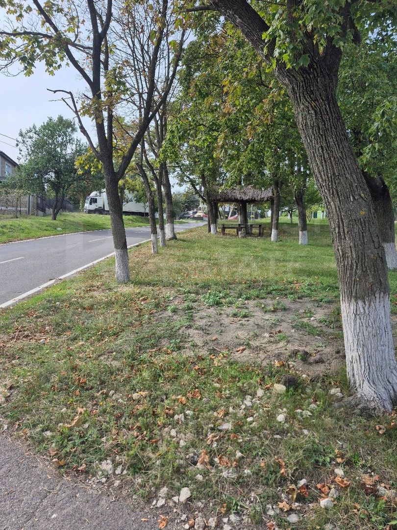 Vânzare, teren pentru construcție 6 ari, Cruzești - Poză 5
