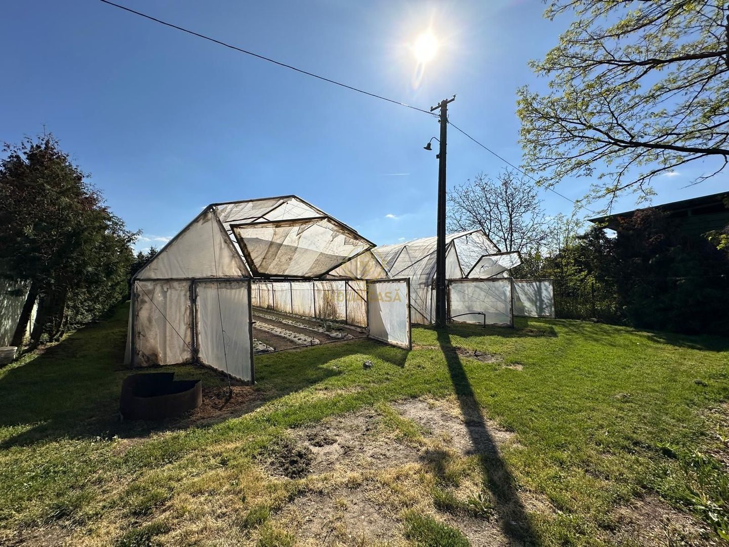 De vanzare Teren 20000MP cu sere/solarii și plantații - Poză 10