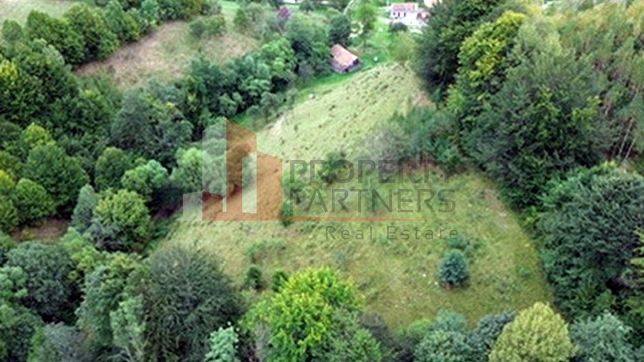 Teren de investiție în Moieciu, lângă Castelul Bran – 11.381 mp, vedere Bucegi - Poză 16