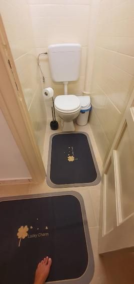 De vanzare Apartament 3 camere in vila, Hala Traian- Mantuleasa - Poză 11