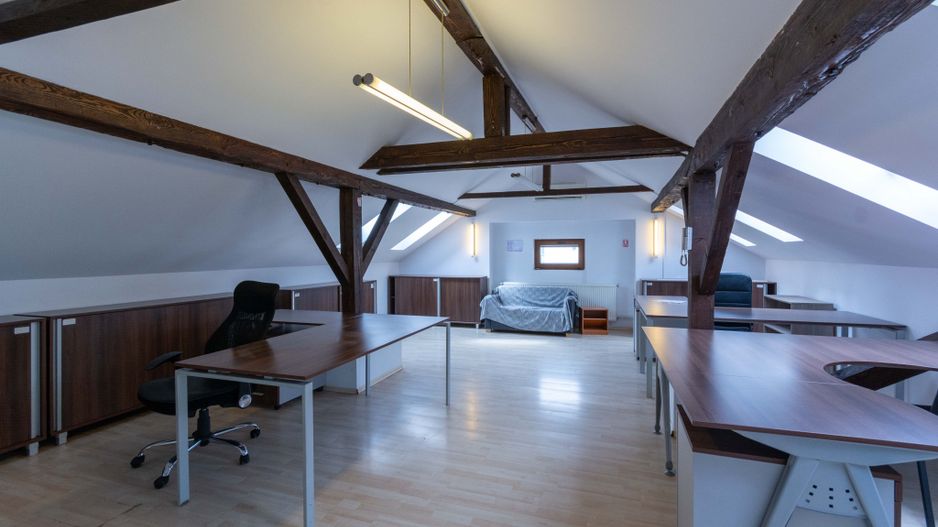 Aviatiei | Smaranda Braescu | Vila reprezentativa de inchiriat - Poză 39