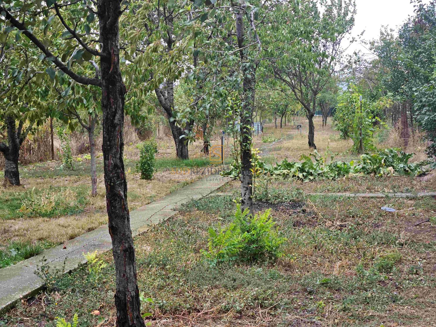 Casa indviduala cu 4 camere si teren generos - Jilava, Str. Garii - Poză 9