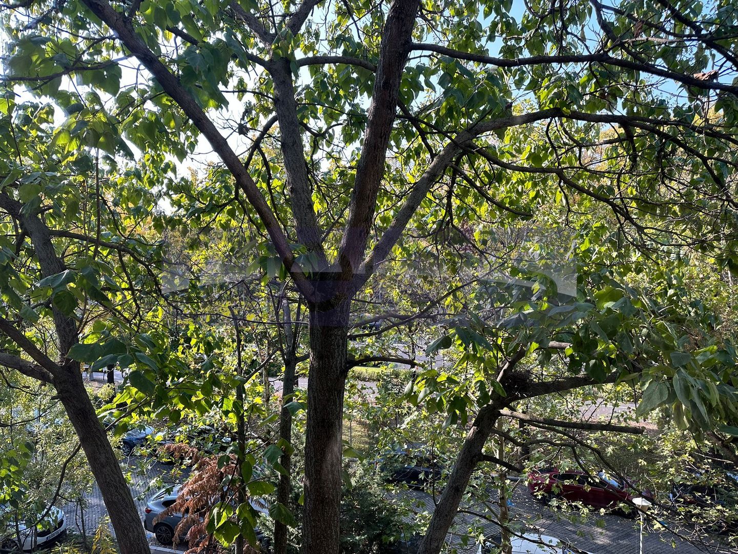 Apartament superb Aviatorilor | 3 camere | Lux | - Poză 24