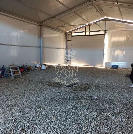 Teren 7500 mp + Hala metalica-ideal investitie-Brateni  EXCLUSIV - Poză 3