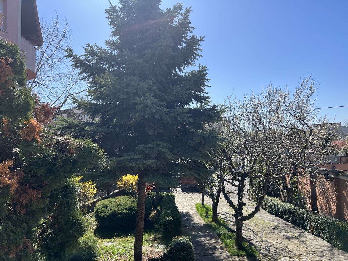 Vila superba Baneasa - Dobrogeanu Gherea - Poză 31