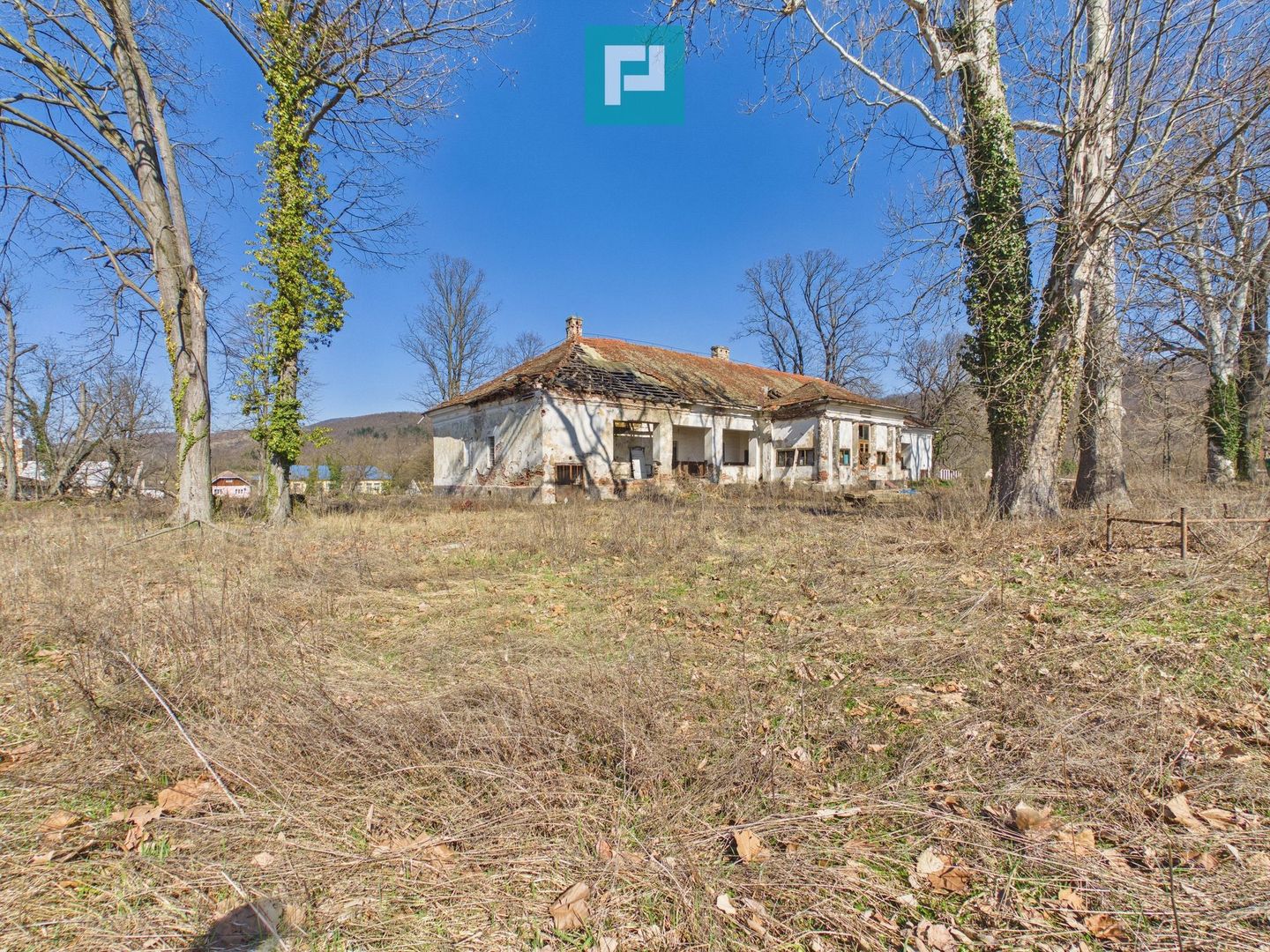 Conac nobiliar de secol XIX cu 8 camere în Maciova - Poză 32